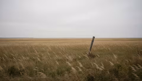 Tallgrass prairie stretching to horizon with native grasses and fence post